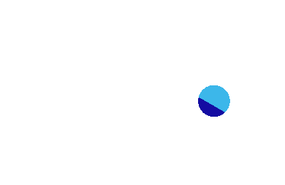 Bluedot Store